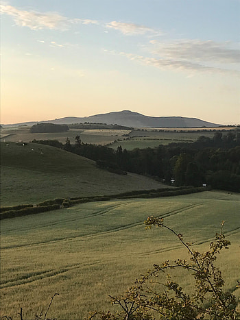 Landscape, Nature, Grass, Hill, Arable Land HD phone wallpaper
