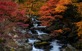 Cascade, Autumn, Stones, Forest, Trees HD wallpaper