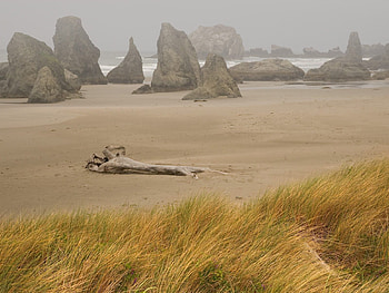 Nature, Stones, Beach, Sand, Storm, Stump HD wallpaper