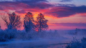 Sunset at the river, poland, dawn, river gwda, reed, frost, trees HD wallpaper
