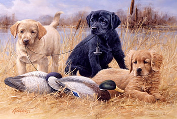 Three Hunting Pals, puppies, ducks, painting, fall HD wallpaper