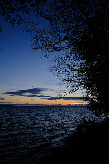 Nature, Sea, Night, Horizon, Ripples, Ripple, Branches HD phone wallpaper