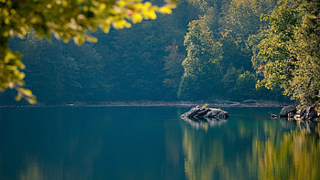 Autumn forest, Lake, Stones, Bokeh, Branches, Reflection HD wallpaper