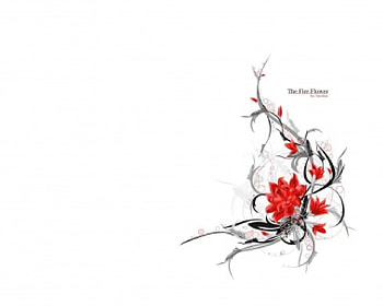 WHITE, 3dandcg, abstract HD wallpaper