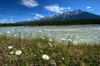 Landscape, Nature, Mountains, Parks, Camomile, Rivers Canada, Vermilion Kootenay HD wallpaper