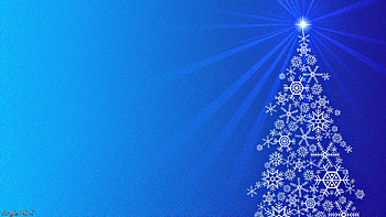 A Bright Star, blue, winter, holidays, tree, xmas, snowflakes, christmas, seasonal, noel HD wallpaper