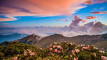 Taiwan Sunset, hills, mountains, blossoms, wildflowers, clouds, sky HD wallpaper