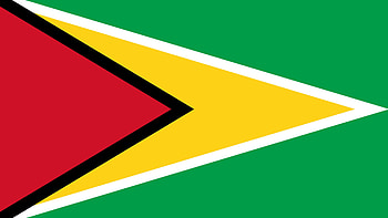 Flag , National symbol, Guyanese pride, Patriotic display HD wallpaper