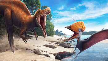 Prehistoric beach, Mesozoic coast, Oceanic landscapes, Ancient creatures HD wallpaper