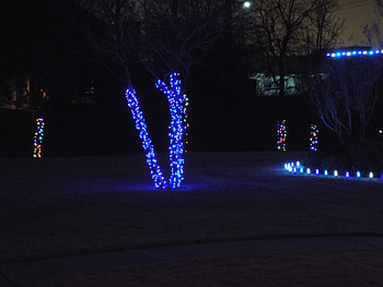 Christmas House 2A, Decorated Trees, Christmas Lights, Houses, Trees HD wallpaper