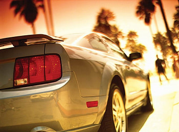 SUMMER CAR, summer, gold, palm trees, car HD wallpaper