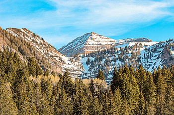 Nature, Trees, Mountains, Vertex, Top, Snow Covered, Snowbound HD wallpaper