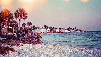 Florida Coastal Sunset —, Beach, Ocean, Palm Tree, Coastline HD wallpaper