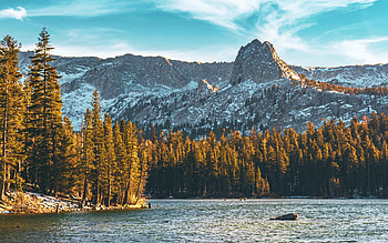 Mammoth Lakes, California in the middle of autumn, mountains, fall, colors, trees, clouds, sky, usa HD wallpaper