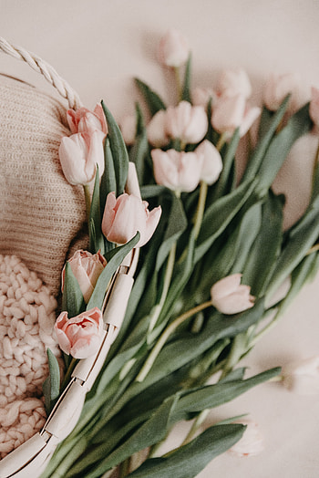 Flowers, Pink, Tulips, Bouquet, Basket, Spring HD phone wallpaper