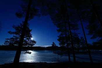 Nature, Trees, Sky, Night, Lake, Dahl, Distance, Norway HD wallpaper
