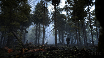Neutral stalker, S.T.A.L.K.E.R. 2 HD wallpaper