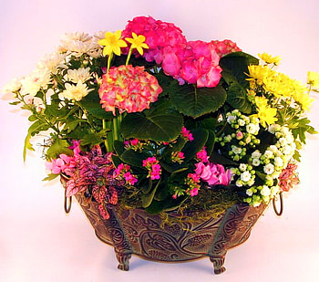 For November birtays, basket, pink, white, coral, yellow, green, red, flowers HD wallpaper