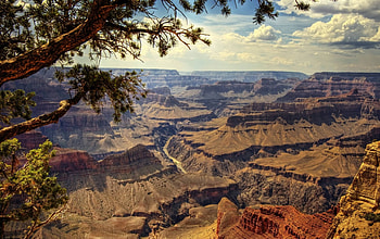 Canyons, Horizon, Clouds, Trees HD wallpaper
