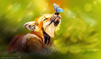 Art, Fox, Butterfly, Animal, Sweetheart, Nice HD wallpaper