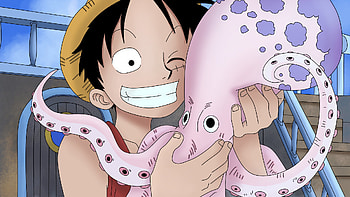 One Piece - Luffy, straw hat, Monkey D. Luffy, Anime, One Piece HD wallpaper