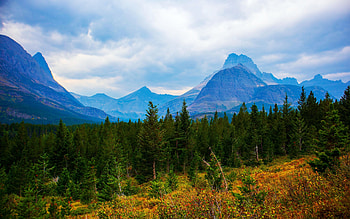 Glacier National Park, Montana, forest, usa, clouds, landscape, trees, sky HD wallpaper