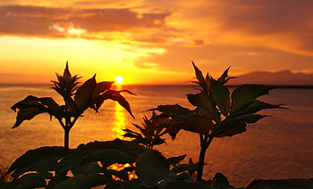 Sunset, beautiful, nature, ocean HD wallpaper