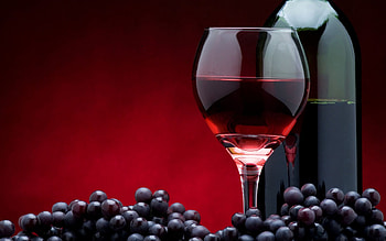 Wine-themed , Classy and stylish, Wine love HD wallpaper