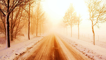 Winter Road, trees, fog, morning, snow HD wallpaper