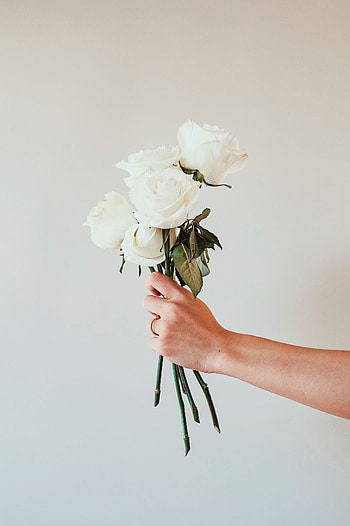 Flowers, Roses, Hand, Bouquet HD phone wallpaper