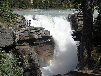 Athabasca Falls, falls, trees, water, rock HD wallpaper