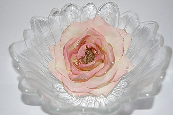Flower in a glass bowl, flowers, bowls HD wallpaper