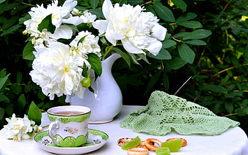 Flowers, Food, Still Life, Cup, Drying HD wallpaper