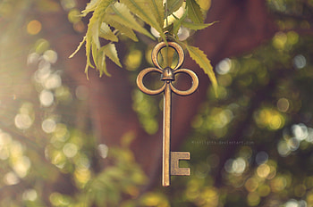 hanging, leaves, key, abstract HD wallpaper