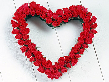 Heart, rose, flowers, roses, flower HD wallpaper
