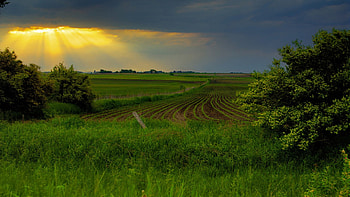 wonderful sky over rural fields, rays, clouds, fields, cultivated, sunset HD wallpaper