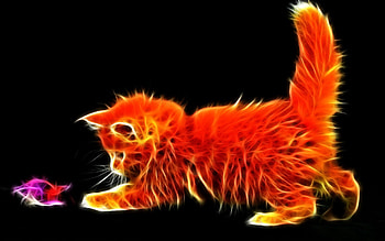 Abstract, Fluffy, Kitty, Kitten, Toy, Playful HD wallpaper