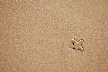 Beach, Sand, Starfish, Texture, Minimalism HD wallpaper