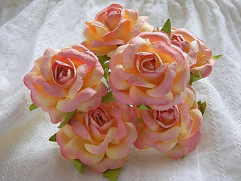 Roses for Kathy, pink, roses, yellow, flowers, beauty HD wallpaper