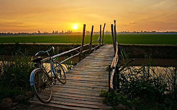 Bicycle, Urban streets, Commuter culture, Cycling enthusiasts HD wallpaper