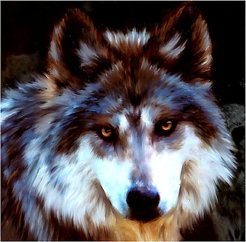 By Barbara Hymer (DETAIL), animal, barbara hymer, art, wildlife HD wallpaper