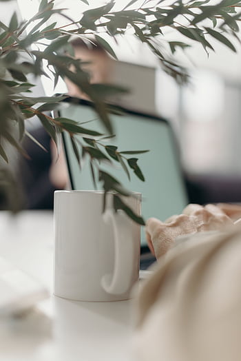 A calm home office scene with a white ceramic mug, computer laptop, and green leaves. HD phone wallpaper