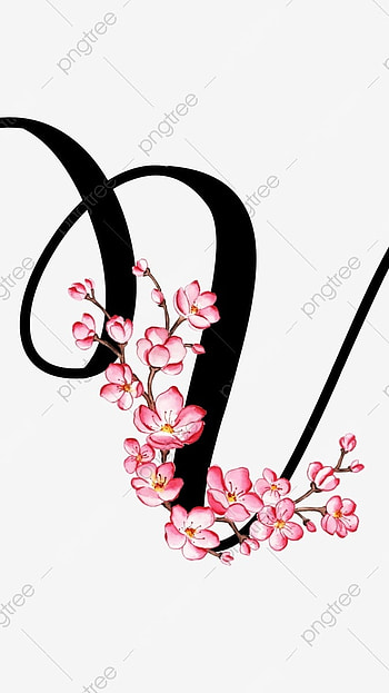 V Letter, Flower, Alphabet HD phone wallpaper