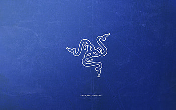 Razer logo, dark blue background, white chalk logo, Razer emblem, retro dark blue background, Razer, creative art, retro style HD wallpaper