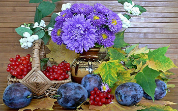 Floral Still Life, fruits, leaves, plums, blooms HD wallpaper