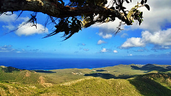 Fantastic Curacao island vacation, Ellie's travel tips, Ultimate guide, Caribbean island HD wallpaper