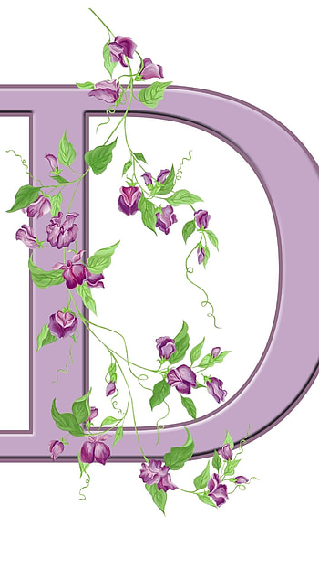 D Letter, Purple HD phone wallpaper
