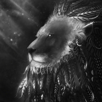 Art, Feather, Lion, Predator, Bw, Chb HD phone wallpaper
