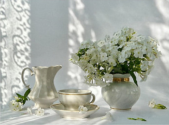 Hydrangea & Tea Time, still life, teacup, tea, tea time, hydrangea, flowers HD wallpaper