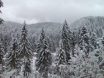clouds, snow, trees, house in the mountains, beautiful, house in the mountains, snow, clouds, trees, beautiful HD wallpaper